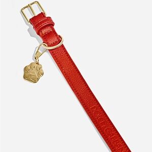 Dolce & Gabbana Red Leather Dog Collar with Gold Charm